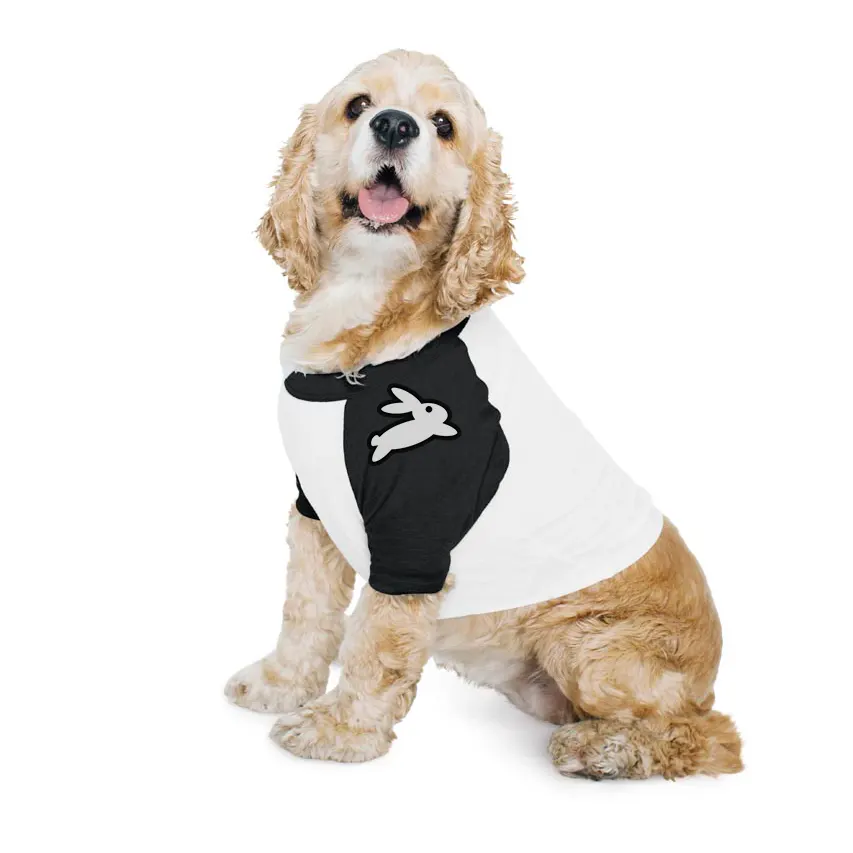 agencija zajcek az darila pes 1